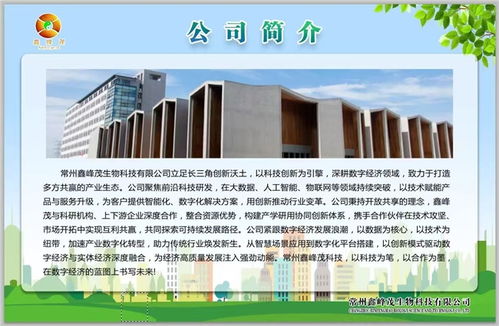 鑫峰茂 以技術(shù)服務(wù)為舟，奮力突破千層浪，勇者踏平萬(wàn)重山